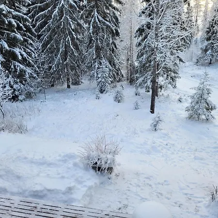 Loma-asunnot My First Tahkovuori